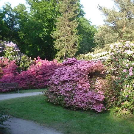Lägenhet Hinter Dem Rathaus - Haus Ostseekrabbe A Graal-Mueritz
