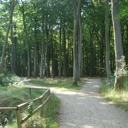Hinter Dem Rathaus - Haus Ostseekrabbe A Lägenhet Graal-Mueritz